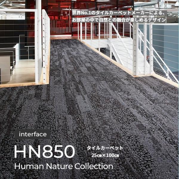 ヒューマン・ネイチャーコレクション/HN850 Interface