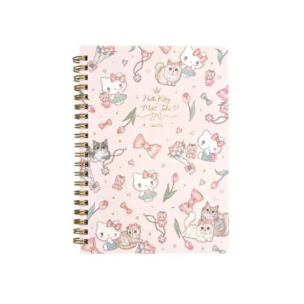 B6リングノート リングノート サンリオ サンリオキャラクターズxたけい