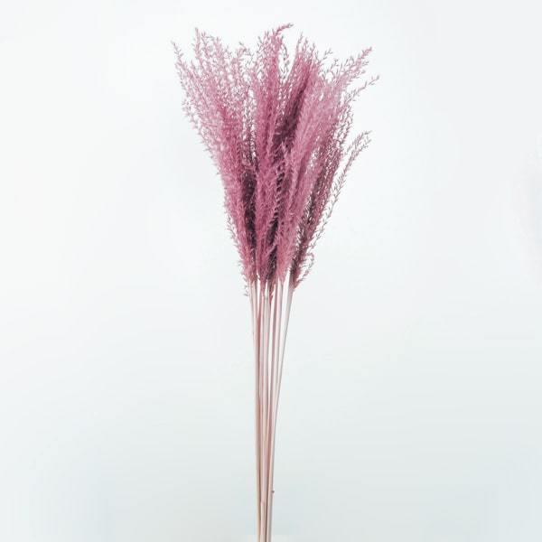 ドライフラワー 花材 即日出荷 【50%OFF】 期間限定特価 ススキ