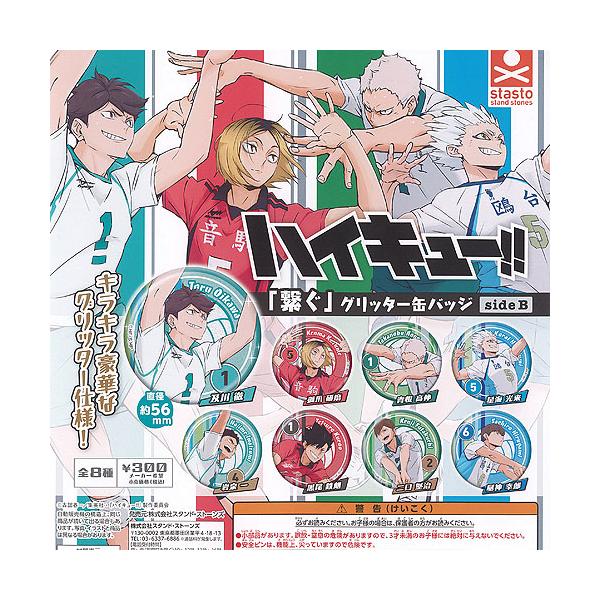 ハイキュー 繋ぐ グリッター 缶バッジ side B 全8種+ディスプレイ台紙