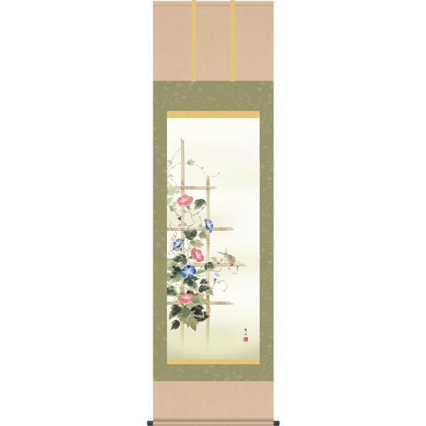 掛軸 (掛け軸) 夏用 朝顔 緒方葉水 尺五立 約横54.5cm×縦190cm g4105