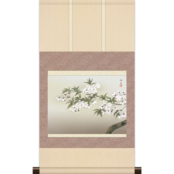掛軸 掛け軸 本格ミニ掛軸 速水御舟 夜桜 約横35cm×縦64cm ミニサイズ