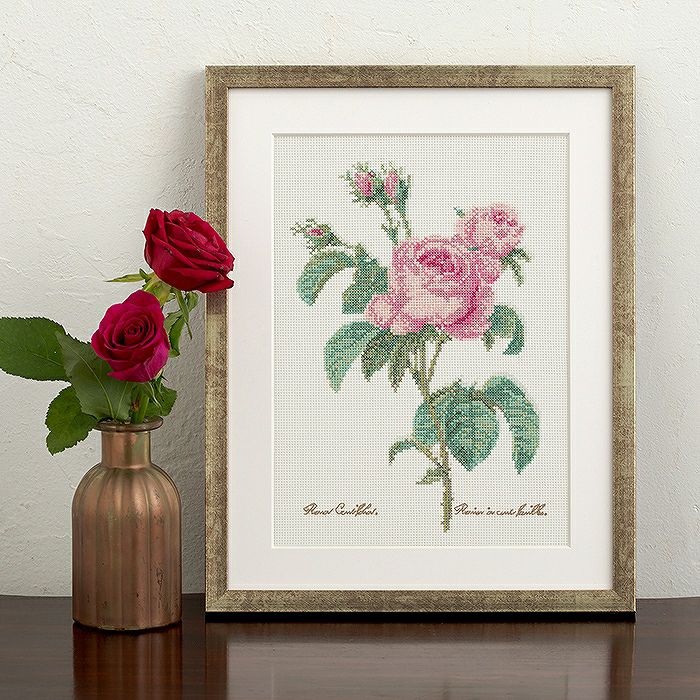 2/25予約】クロスステッチフレーム＜ロサ・ケンティフォリア（ピエール