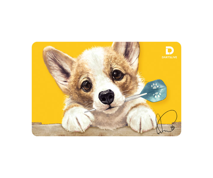 DARTSLIVE card｜ダーツライブカード(シリーズ：ダーツライブ)のダーツ