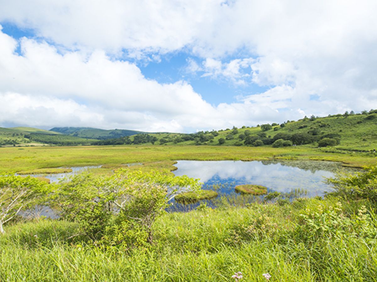 長野】爽やかなハイキングを楽しめる「八島ヶ原湿原」