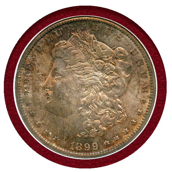 JCC | ジャパンコインキャビネット / 【SOLD】アメリカ 1899-O $1 銀貨