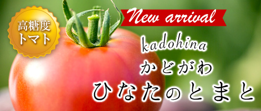 門川ひなたの高糖度とまと | JAみやざき 日向オンラインショップ