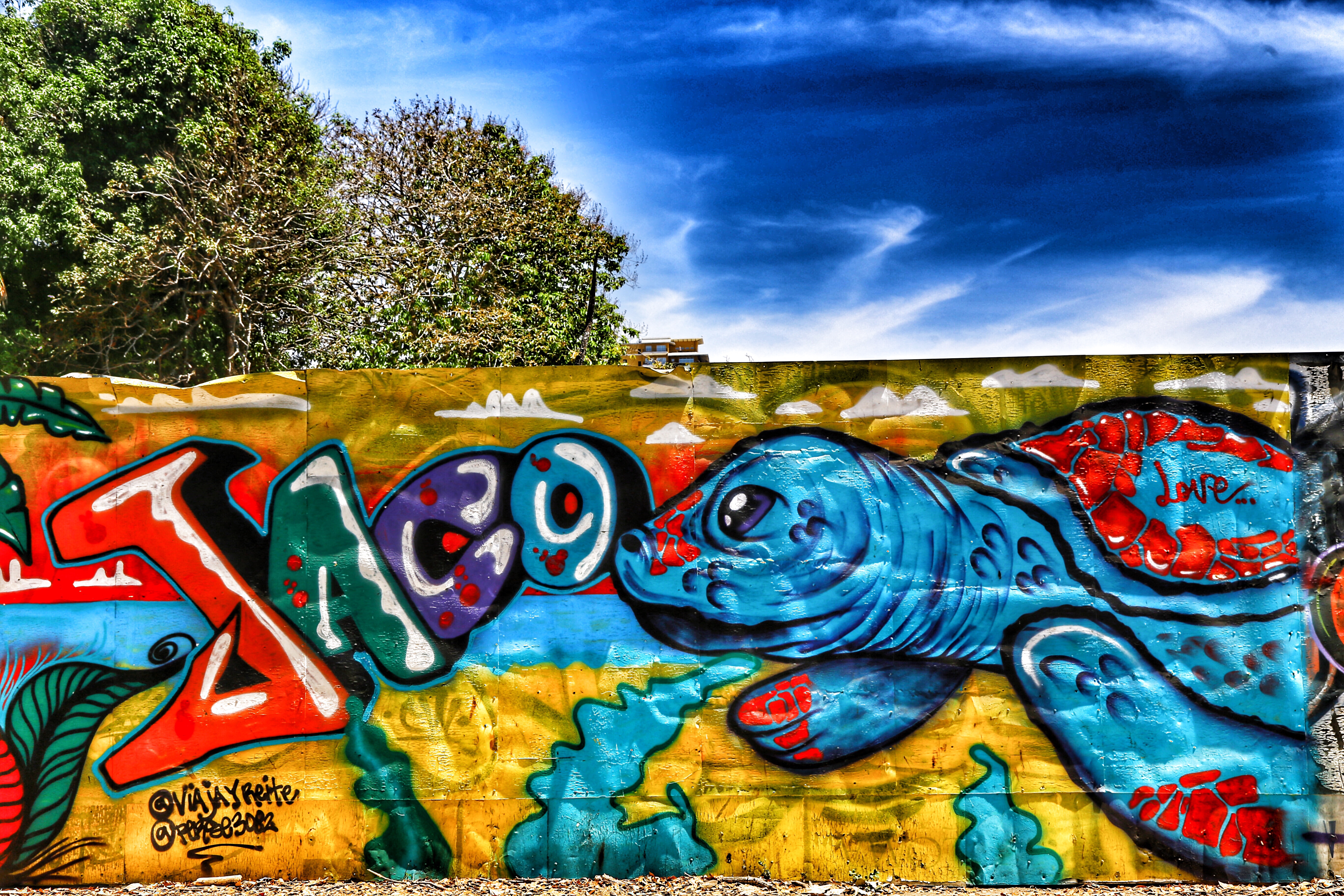 JACO, COSTA RICA 🇨🇷 STREET ART: WILD LIVES – TOKIDOKI (NOMAD)