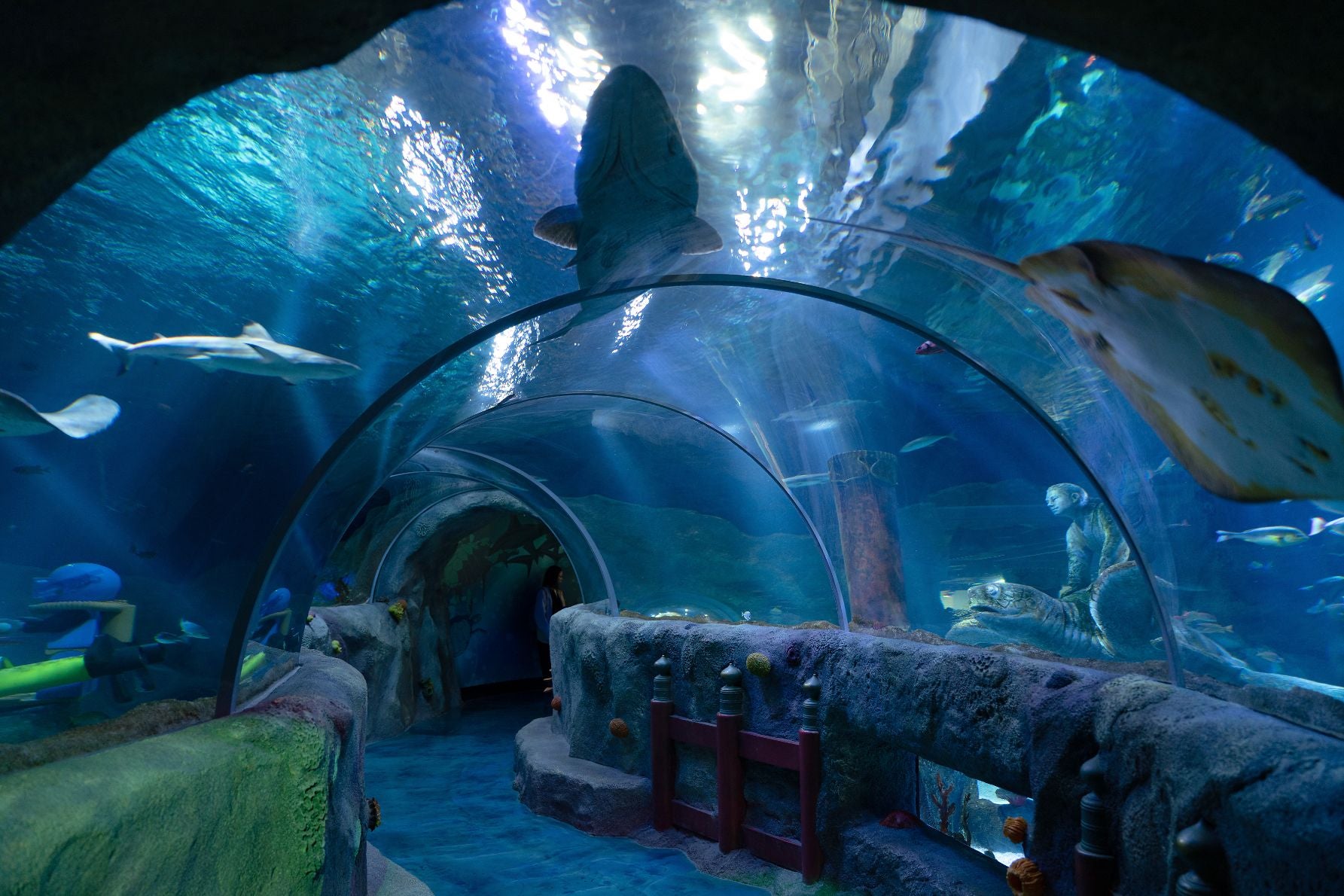 JAFフェス愛知県名古屋市レゴランド貸し切りイベント｜会員限定の