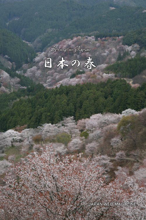 日本の春の風景 | JAPAN WEB MAGAZINE