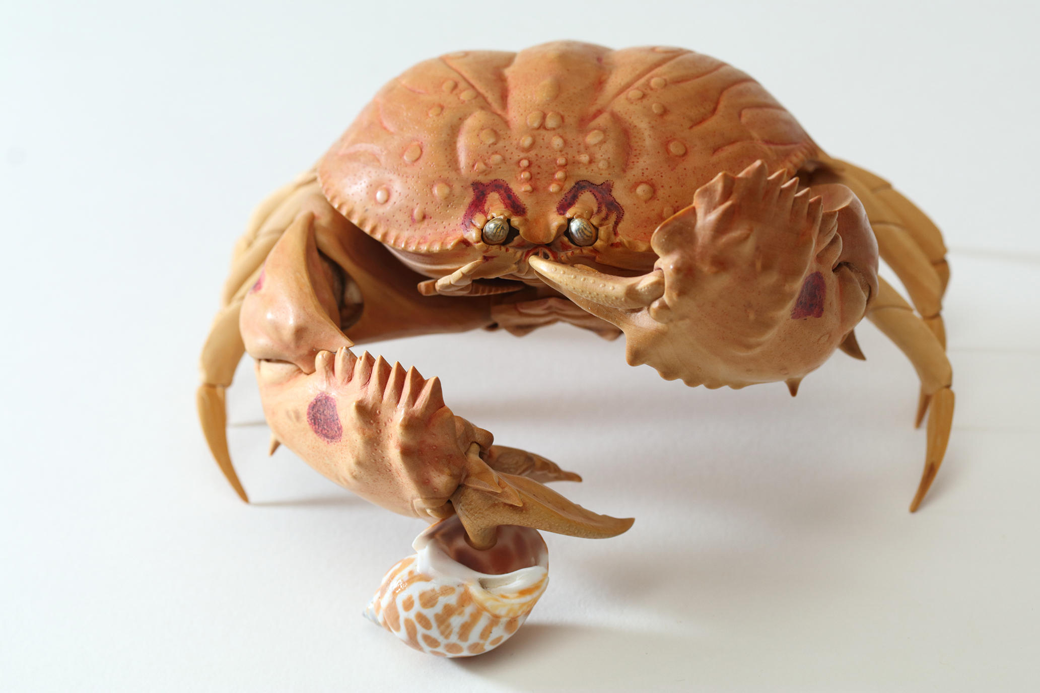 眼鏡饅頭蟹」｜WORKS｜木彫刻家 大竹亮峯｜Wood Sculptor Ryoho Otake