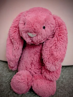 Bashful Cerise Bunny - Medium Jellycat | Jelly Journal