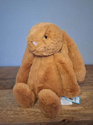 Bashful Golden Bunny - Medium Jellycat | Jelly Journal