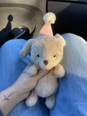 Jollipop Puppy Jellycat | Jelly Journal