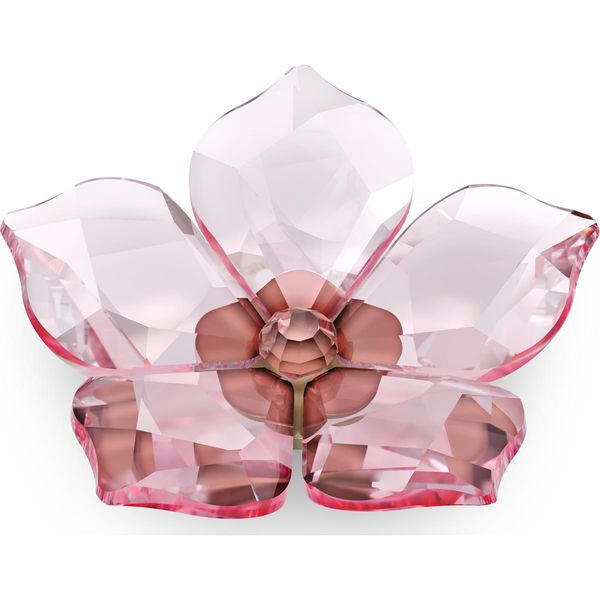 Swarovski Garden Tales Cherry Blossom Magnet, Large | James
