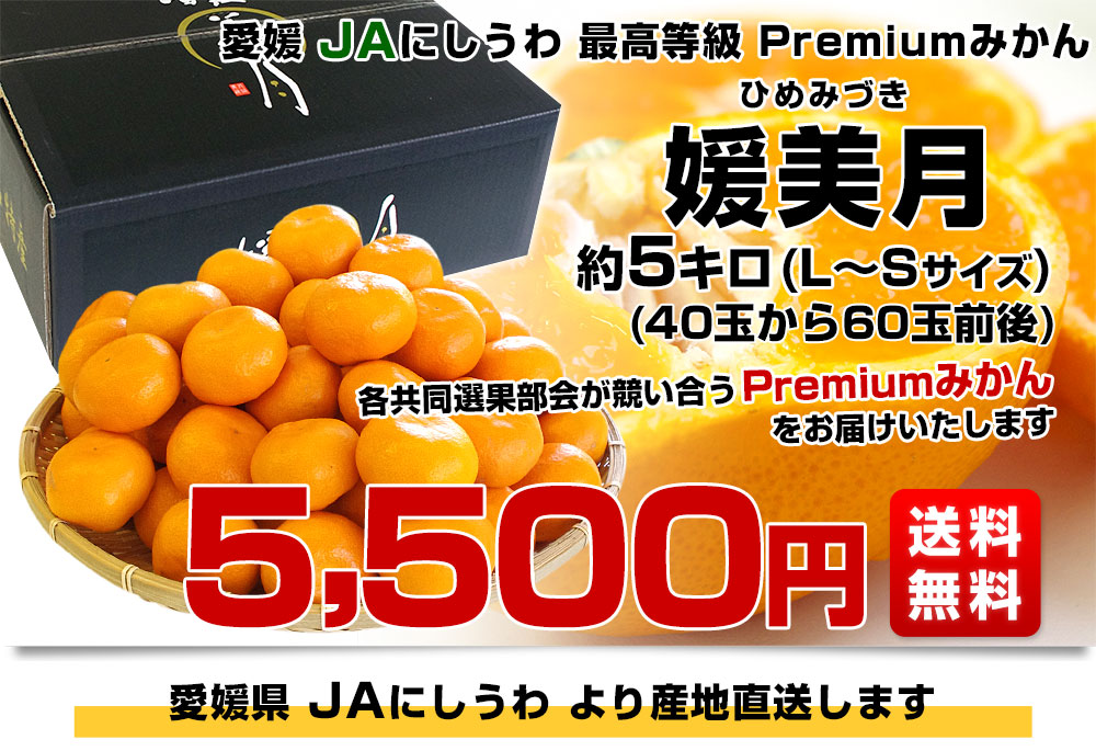 愛媛県より産地直送 JAにしうわ 西宇和プレミアムみかん「媛美月」 L