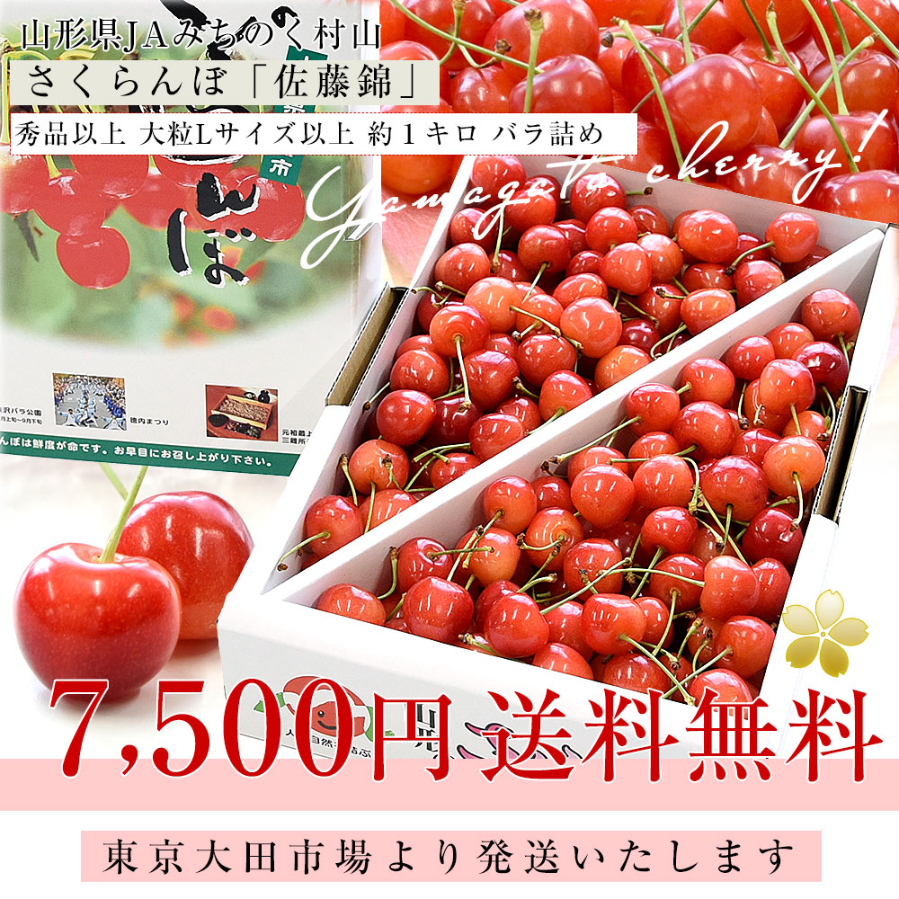 山形県産 JAみちのく村山 さくらんぼ 佐藤錦 秀品以上 大粒Lサイズ以上