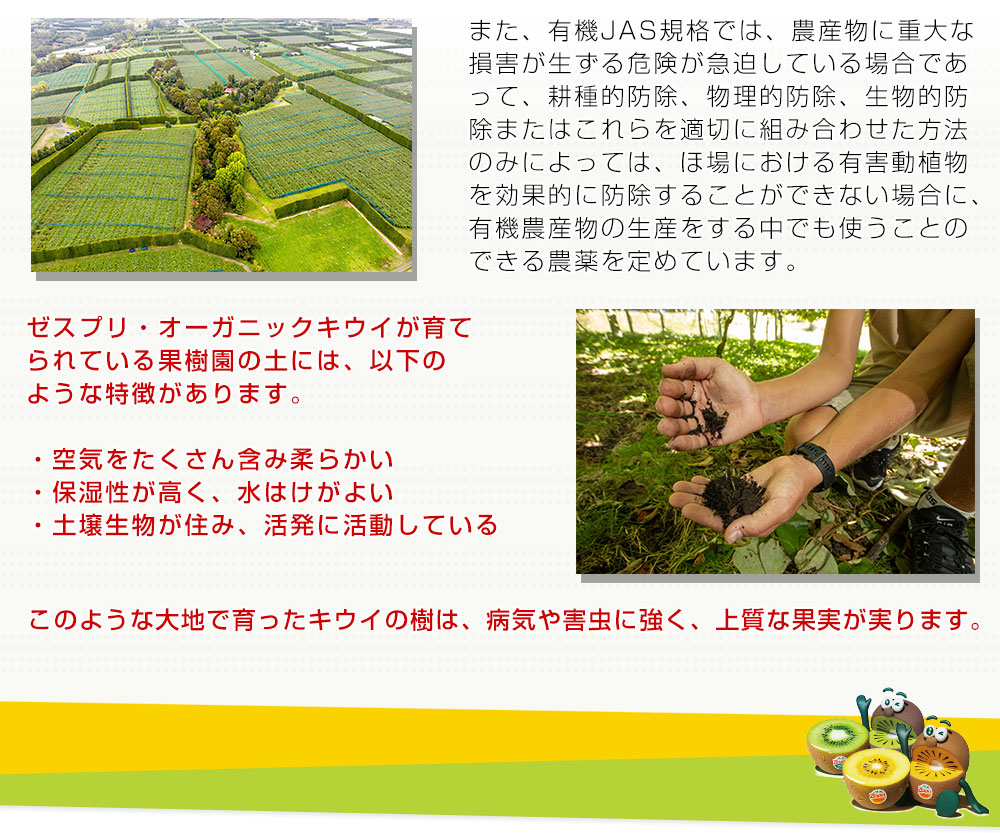 ニュージーランド産 ゼスプリ・オーガニックキウイ（グリーン）3キロ