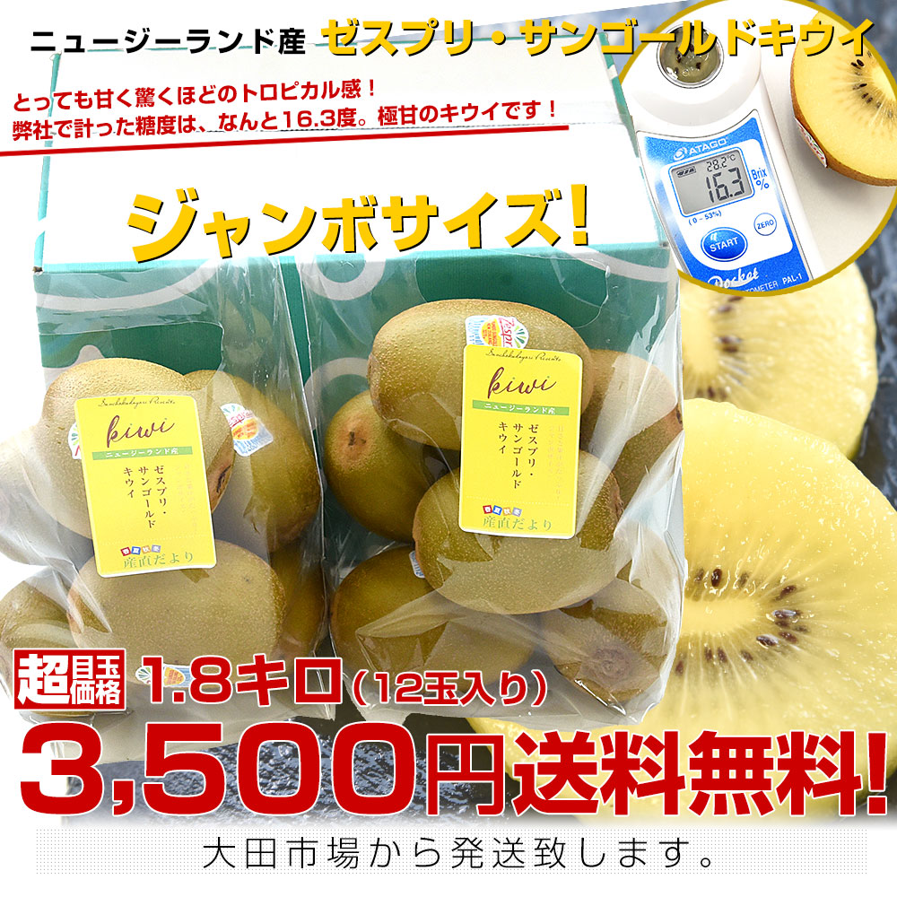 ニュージーランド産 ゼスプリ・サンゴールドキウイ「ジャンボサイズ