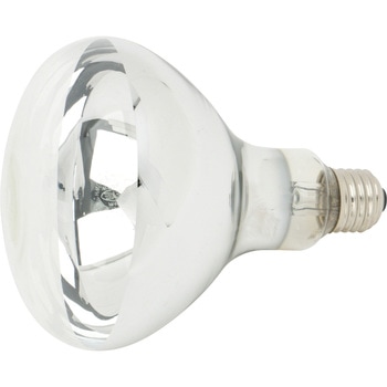 屋外投光用アイランプ集光形 岩崎電気 レフ電球 【通販モノタロウ】