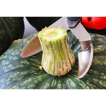 N-980 充電式カボチャ収穫はさみ 充電器・バッテリー付き 1セット