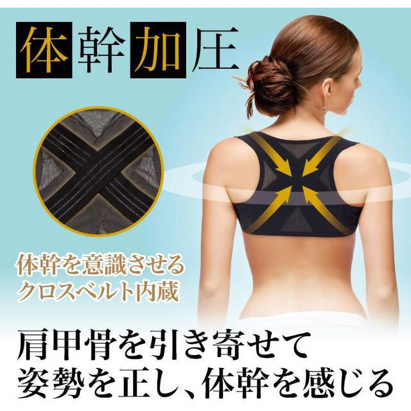 0-31804-003 体幹加圧エクサベルト ニーズ M 0-31804-003 - 【通販