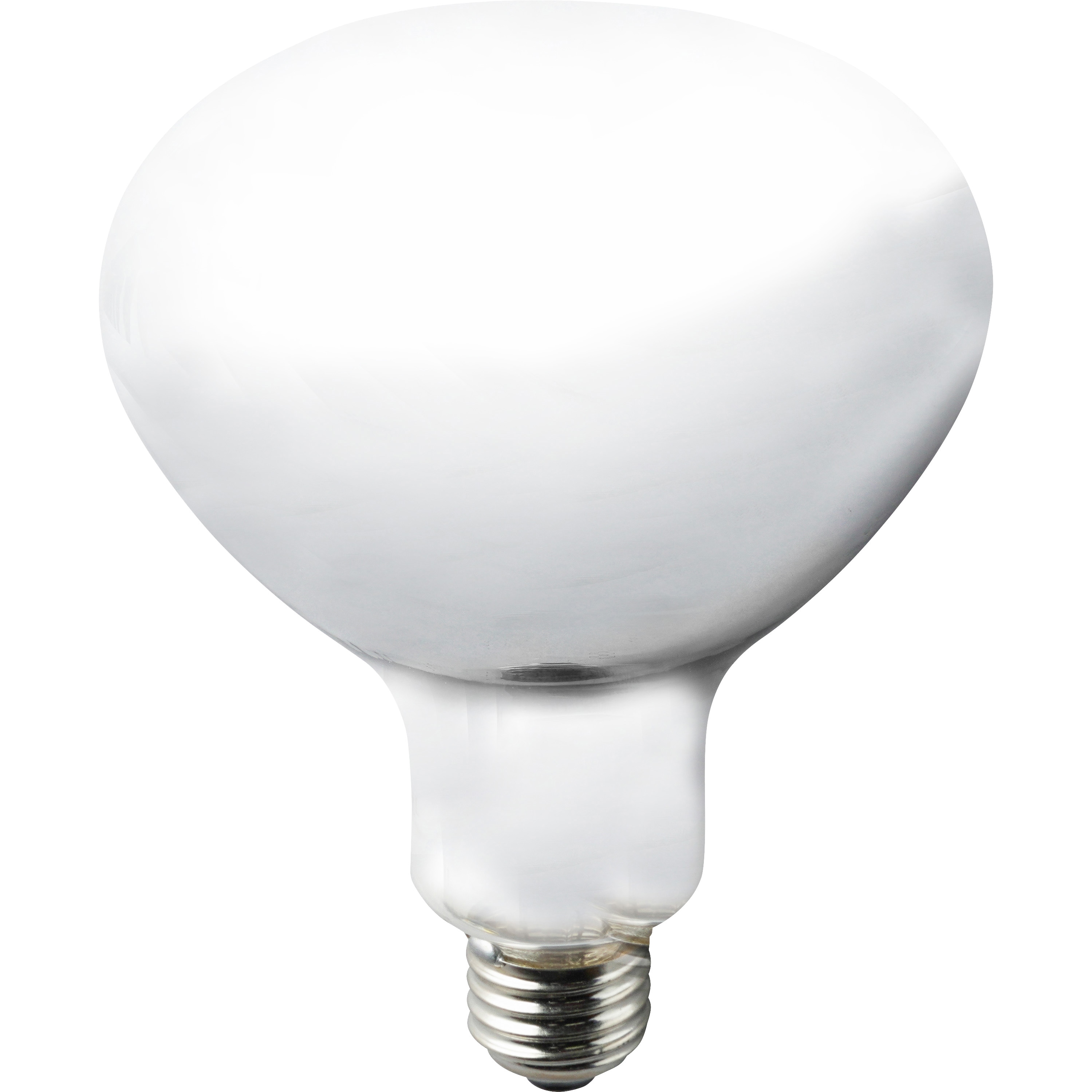 RF110V90WH 屋外投光用アイランプ 散光形 岩崎電気 白熱電球 口金E26