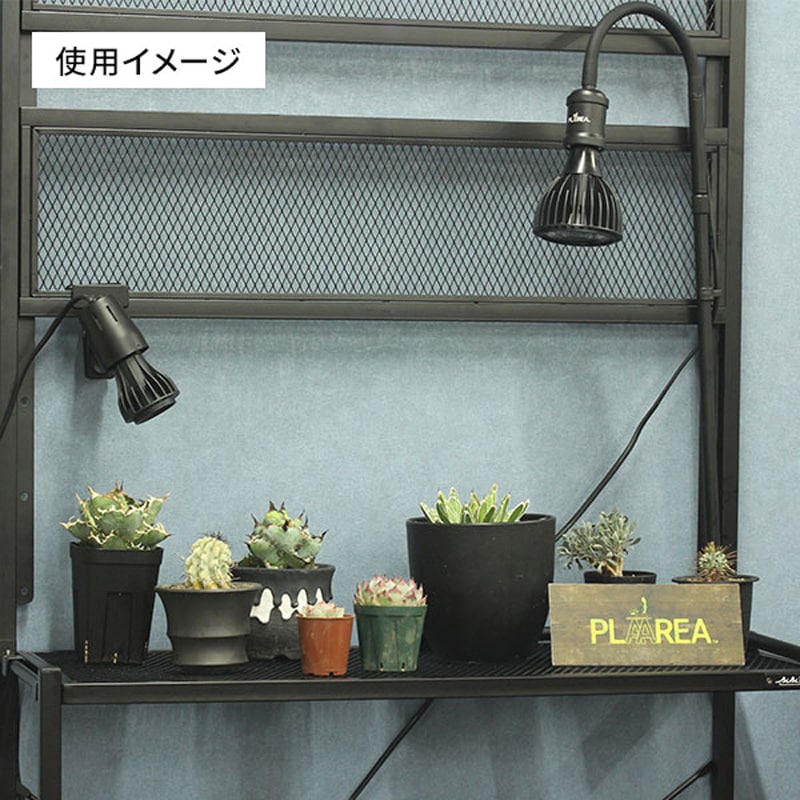 Mini12W BLACK EVERSUN365 植物育成ライト 1個 ゼンスイ 【通販