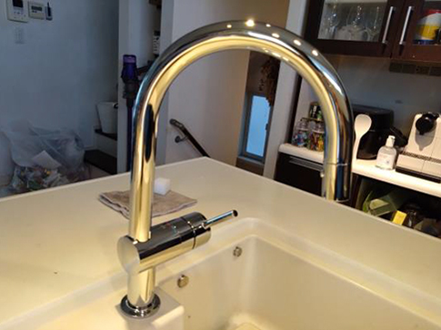 Hansgrohe（ハンスグローエ）フォーカス M41 シングルレバーキッチン