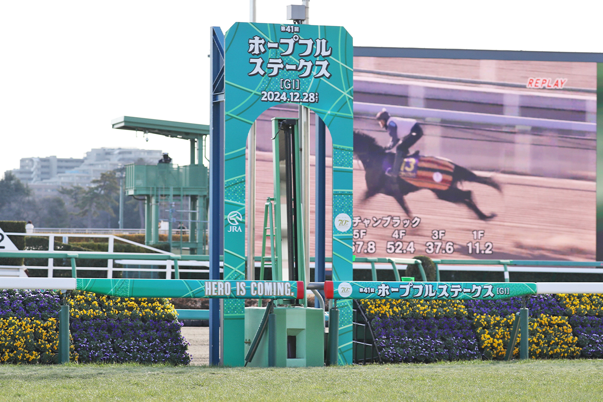 ホープフルステークス2025 レース情報｜G1特集｜競馬予想・競馬情報