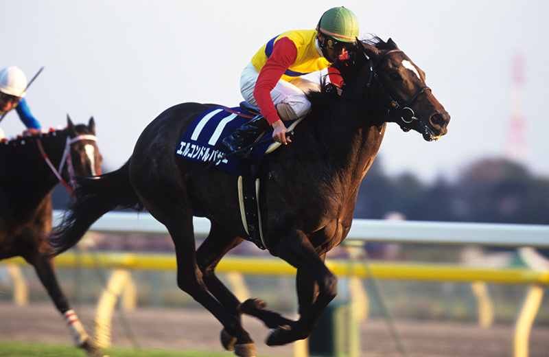 エルコンドルパサー｜名馬メモリアル｜競馬情報ならJRA-VAN