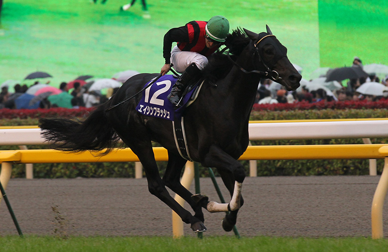 エイシンフラッシュ｜名馬メモリアル｜競馬情報ならJRA-VAN