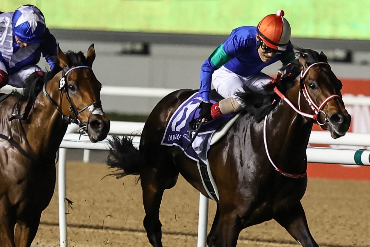 パンサラッサ｜名馬メモリアル｜競馬情報ならJRA-VAN