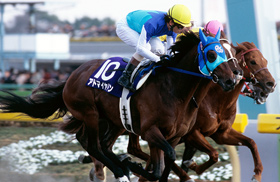 タイムパラドックス｜名馬メモリアル｜競馬情報ならJRA-VAN