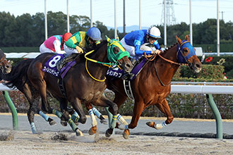 2024年 チャンピオンズカップ JRA