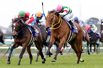 JRAホームページ｜データファイル｜競走成績データ