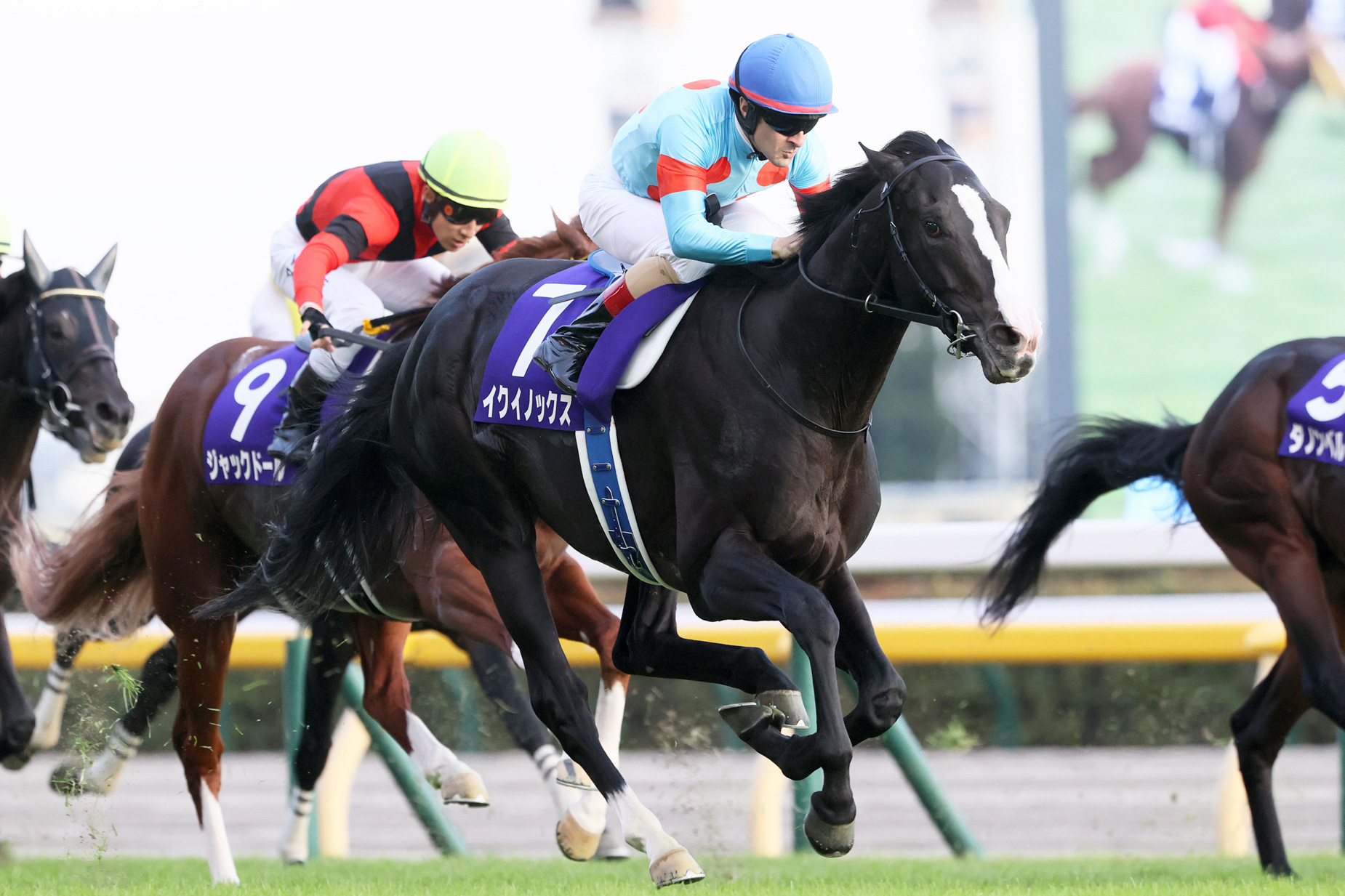 イクイノックス JRA