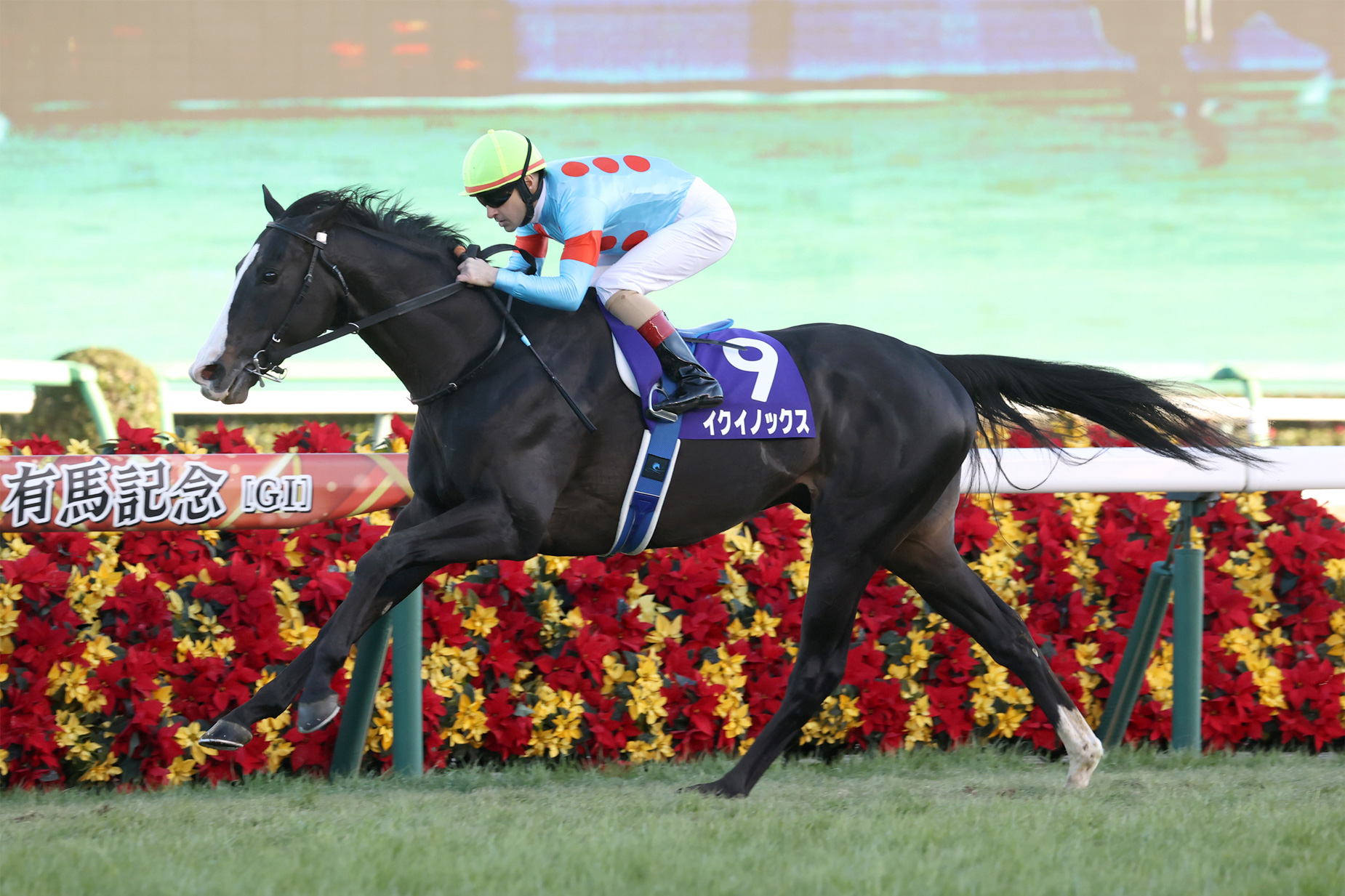 イクイノックス アイドルホース JRA70周年 ウェルカムチャンスA賞 イク