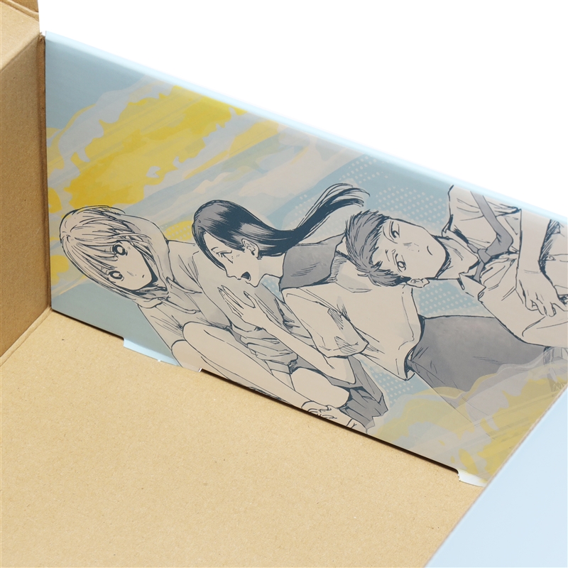 アオのハコ』シューズボックス風収納ケース（2個セット） BD2