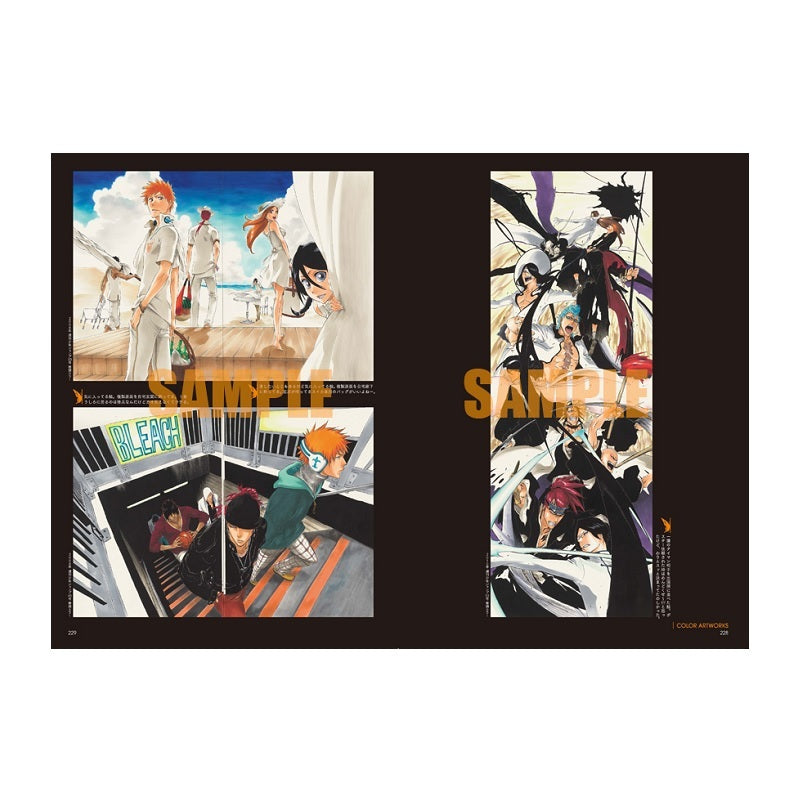BLEACH EX. Official catalog THE BLACK BROCHURE – JumpIchiban