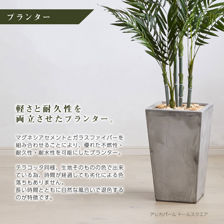 フェイクグリーン シェフレラ×Cube w/g 高さ150cm ｜ JUICYFURNITURE