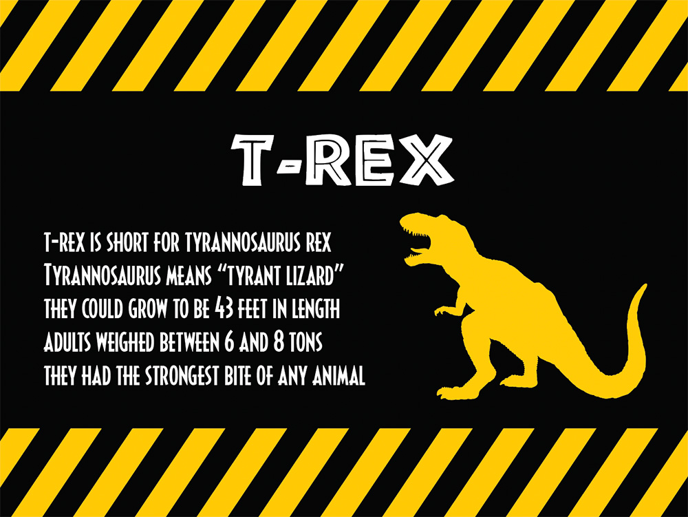 Tyrannosaurus Rex – Jurassic Beach