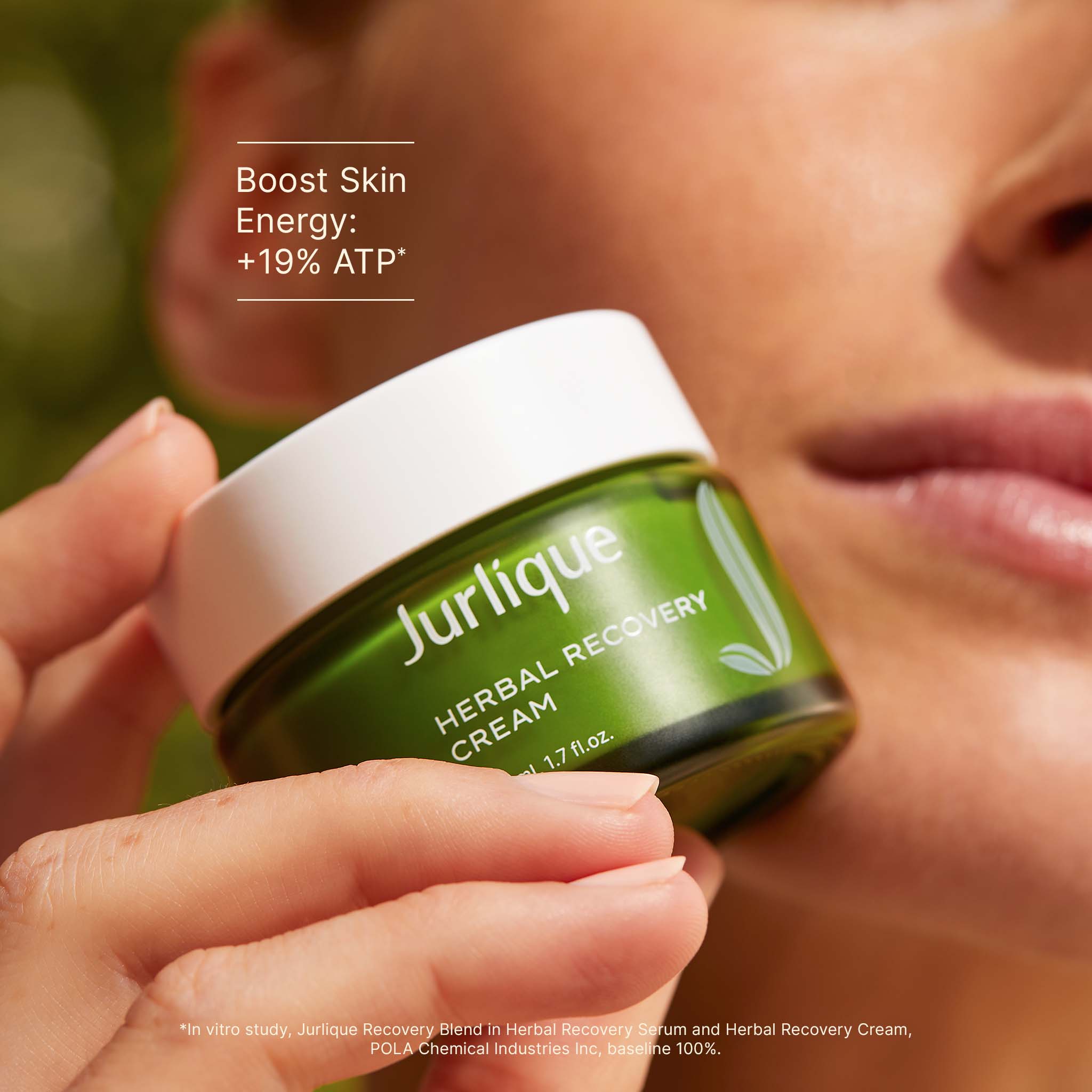 Herbal Recovery Face Cream | Jurlique Natural Skin Care – Jurlique US