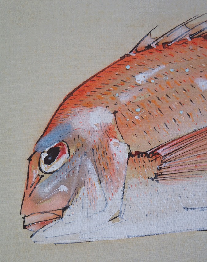 佐野五風 真鯛 | 掛軸(掛け軸)販売／表装ご依頼は掛軸いっぷく掛軸