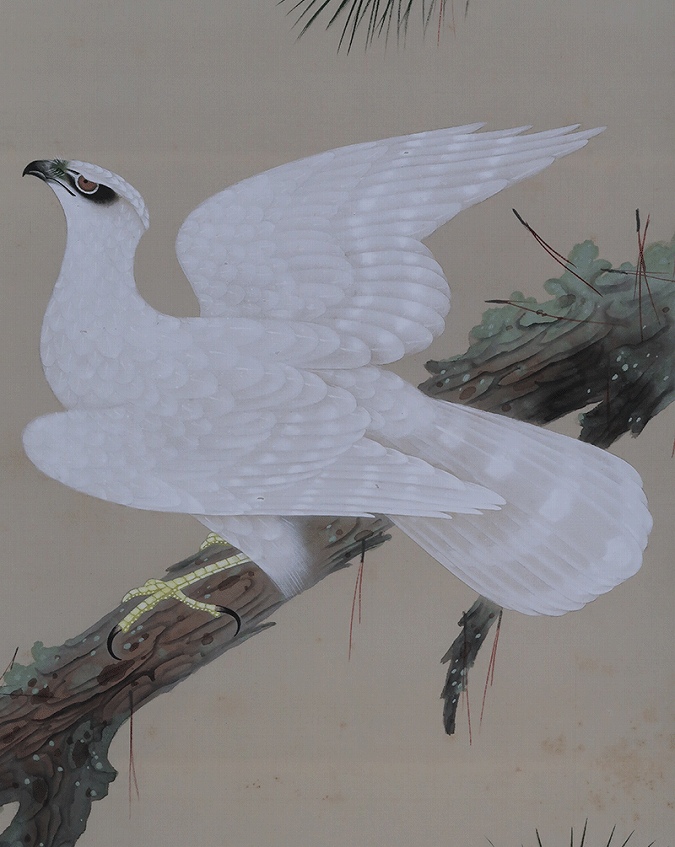 松本嘉八 白鷹 | 掛軸(掛け軸)販売／表装ご依頼は掛軸いっぷく掛軸