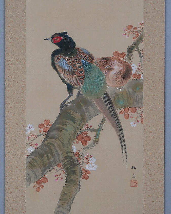 狩野梅斎 桜花双雉図 | 掛軸(掛け軸)販売／表装ご依頼は掛軸いっぷく