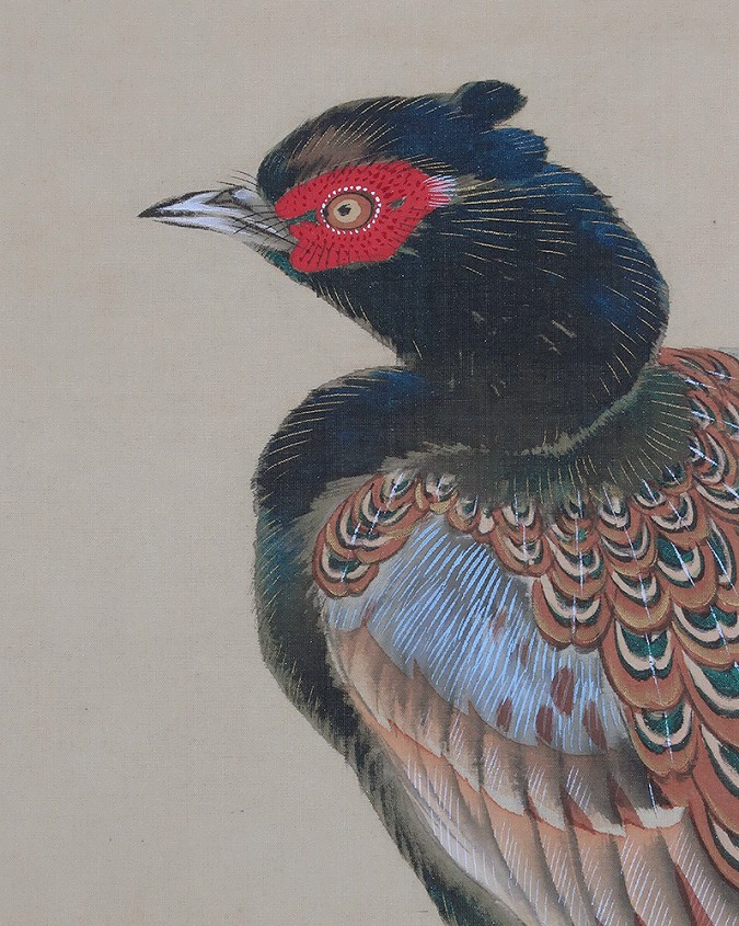 狩野梅斎 桜花双雉図 | 掛軸(掛け軸)販売／表装ご依頼は掛軸いっぷく