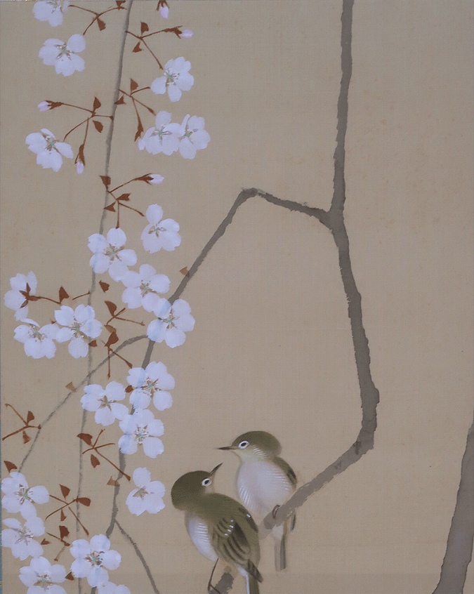 山田耕雲 糸桜小禽 | 掛軸(掛け軸)販売／表装ご依頼は掛軸いっぷく掛軸