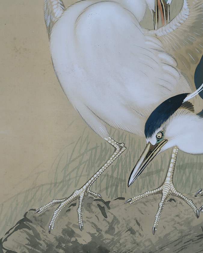 五島耕畝 五位鷺圖 | 掛軸(掛け軸)販売／表装ご依頼は掛軸いっぷく掛軸