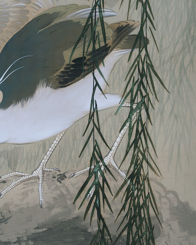 五島耕畝 五位鷺圖 | 掛軸(掛け軸)販売／表装ご依頼は掛軸いっぷく掛軸